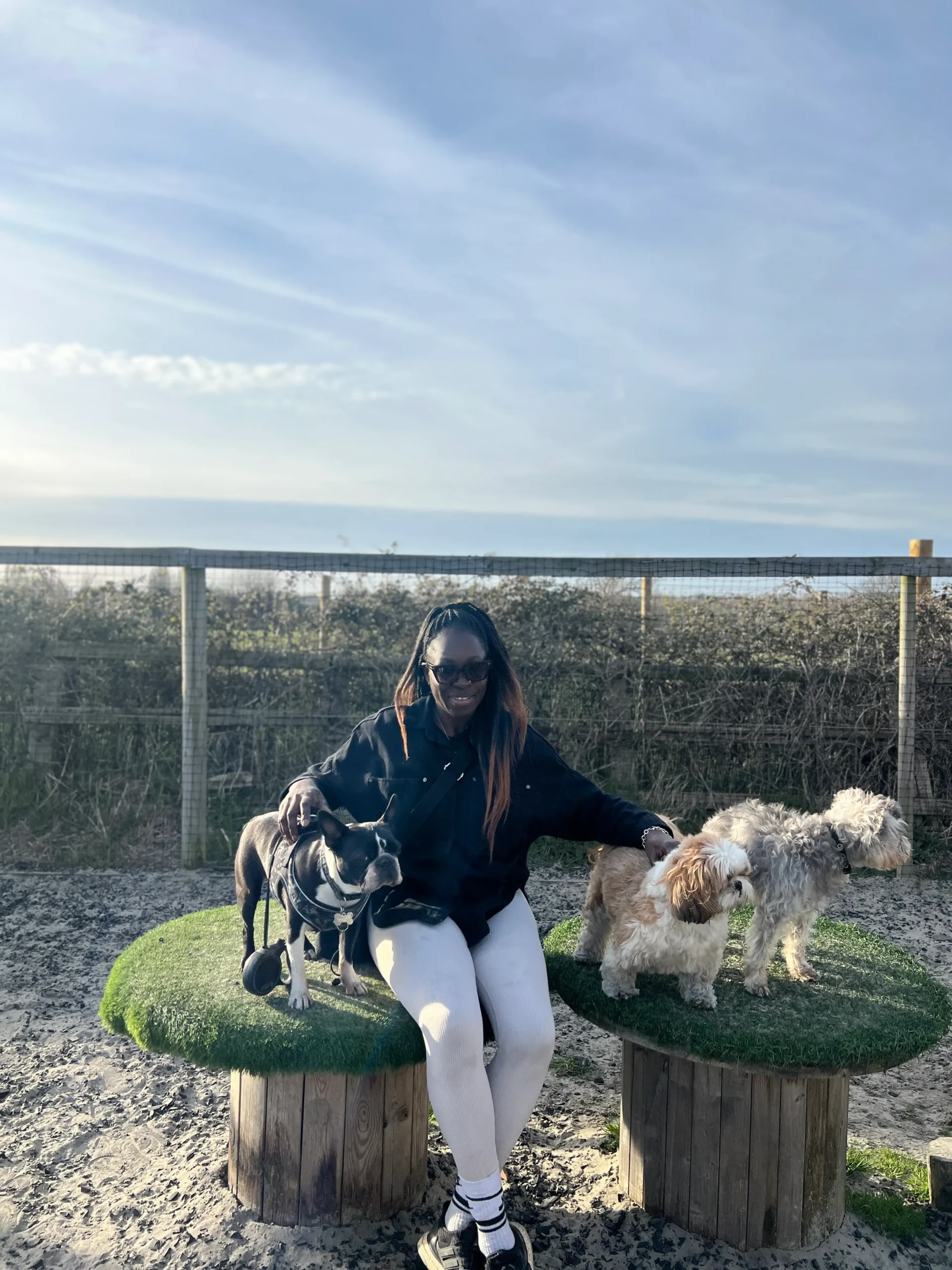 Two dogs on the podium with their friendly caretaker, sharing a calm and happy moment inside the Big Barn.